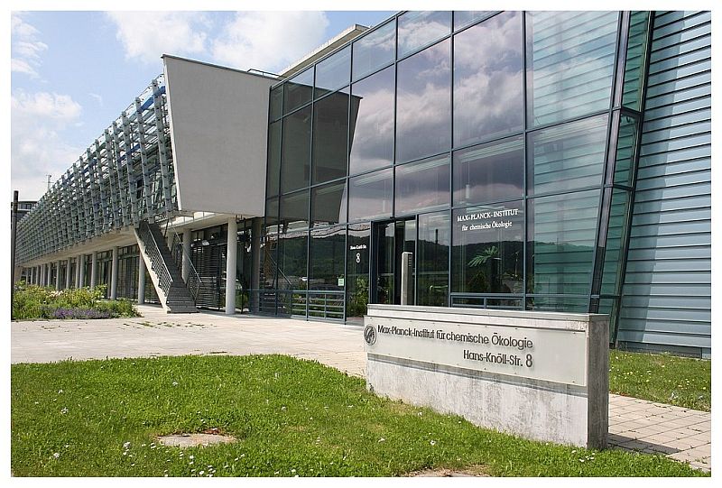 PhD Position Max Planck Institute for Chemical Ecology