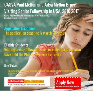 CASVA Paul Mellon fellowship