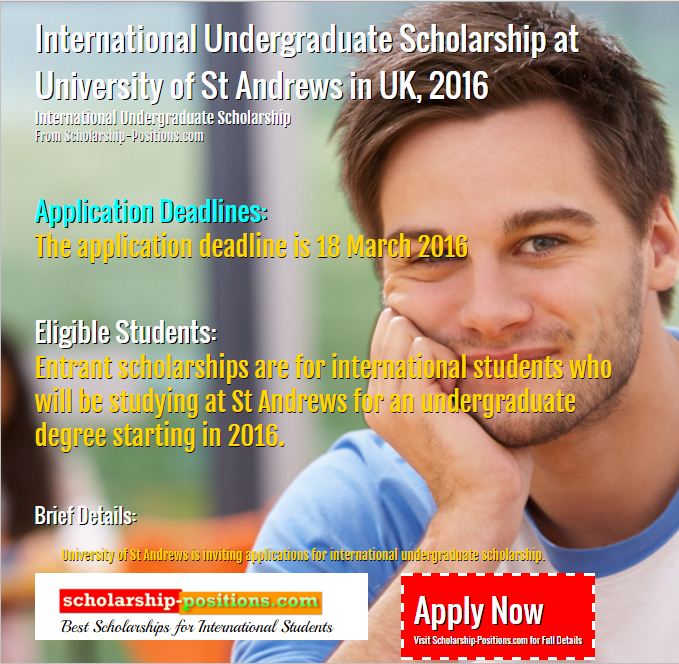international undergraduate scholarship