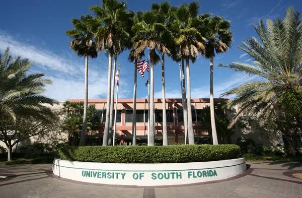 University of South Florida International Scholarships for Freshmans in USA, 2020-2021
