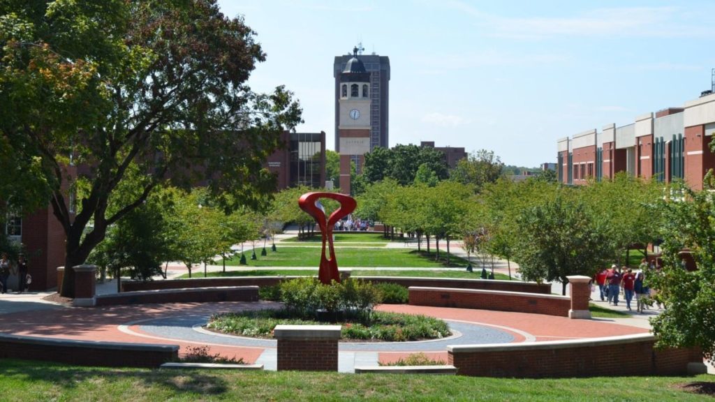 OAS – Western Kentucky University Undergraduate Scholarship in USA, 2017