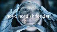 PhD Scholarships in Nursing Research at Novo Nordisk Foundation in Denmark, 2018