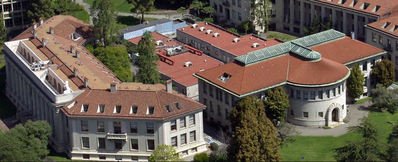 Olive Summer Fellowship in Laboratory Research Experience Program at UC Berkeley, 2019