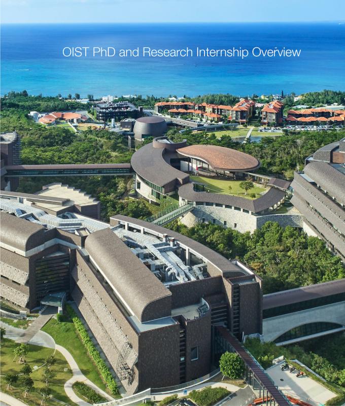 OIST Research Internship Program in Japan