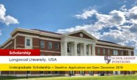 Longwood University Merit-based International Scholarship in USA