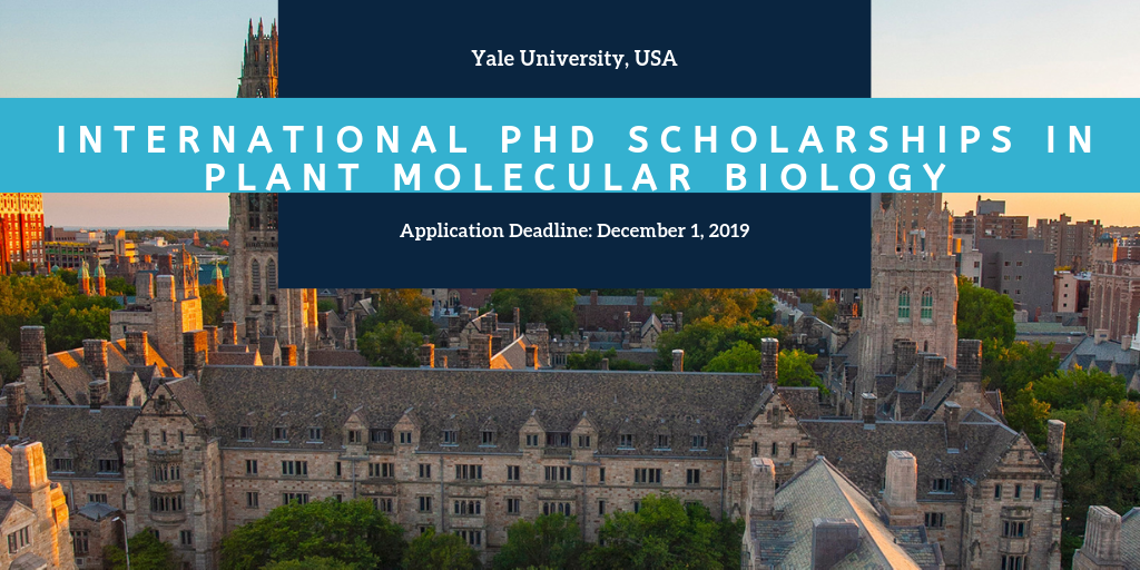 Yale University International PhD Scholarships in Plant Molecular Biology in the USA