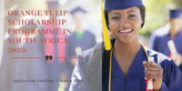Orange Tulip Scholarship Programme in South Africa, 2020