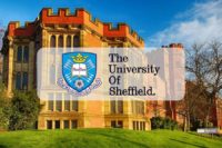 International Baccalaureate Scholarship at University of Sheffield in UK, 2020
