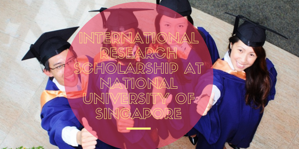 International Research Scholarship at National University of Singapore