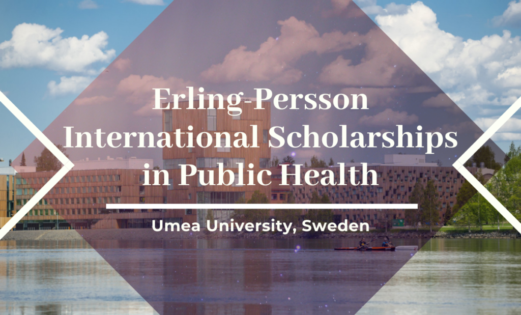 Erling-Persson International Scholarships in Public Health at Umea University, Sweden