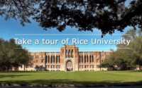International merit awards at Rice University, 2020