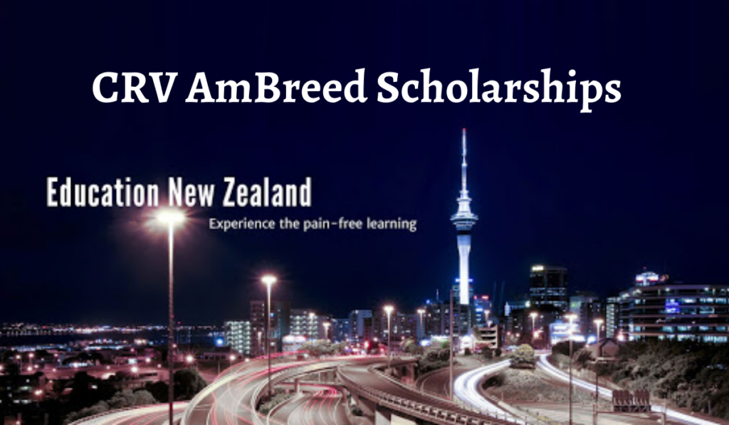 CRV AmBreed international awards in New Zealand