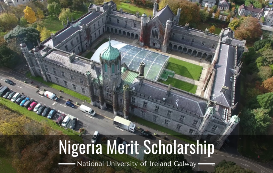 National University of Ireland Galway Nigeria Merit Scholarship, 2020