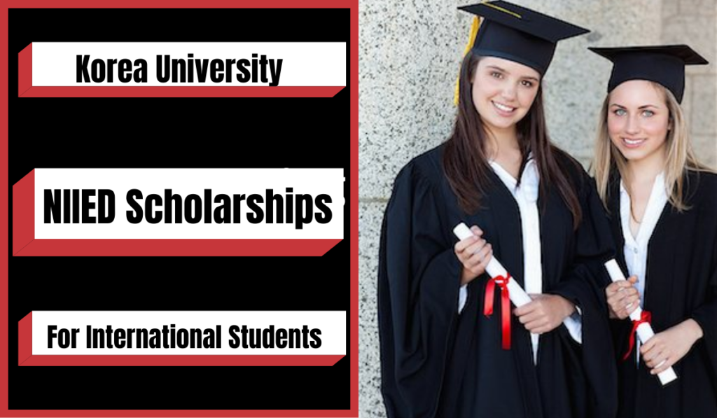 NIIED Scholarships for International Students at Korea University, South Korea