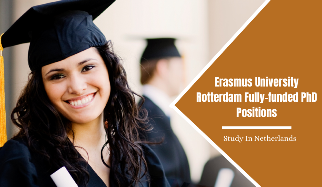 phd positions law netherlands
