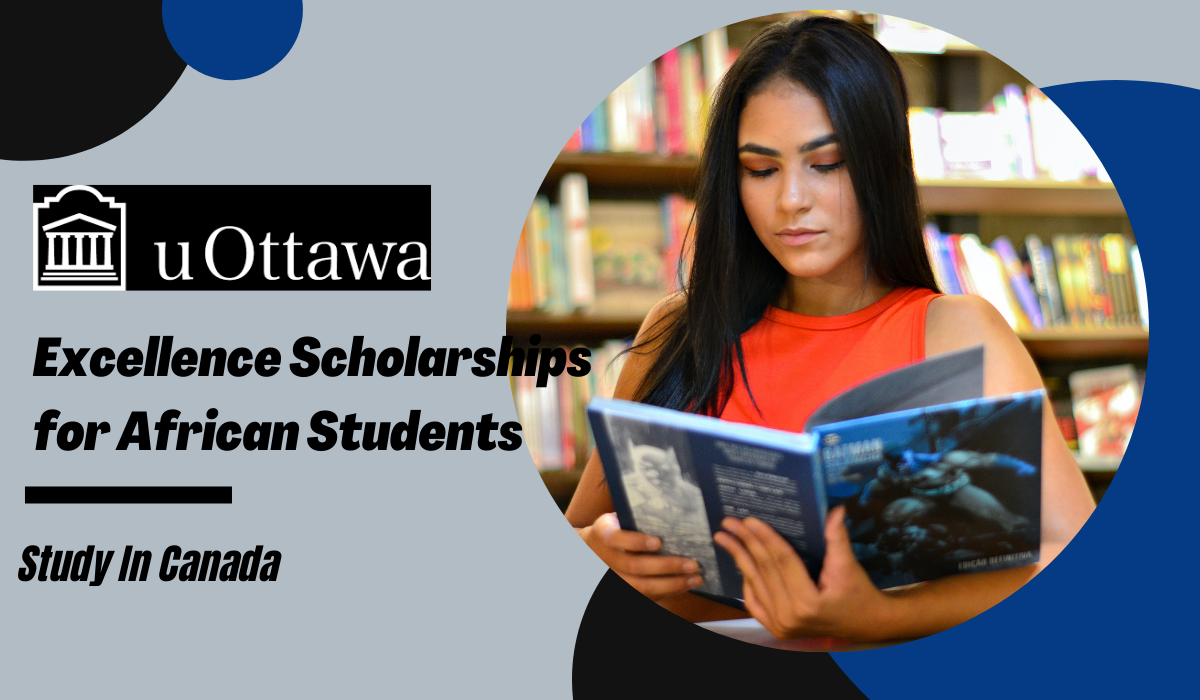 Excellence Scholarships for African Students Studying in English
