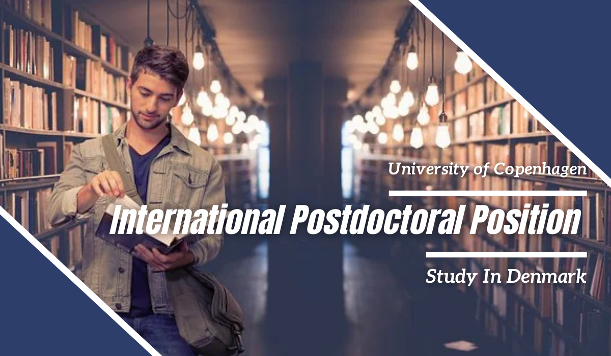 International Postdoctoral Positions in Protein Signalling, Denmark