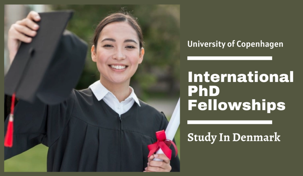 International PhD Fellowships in Astrophysics, Denmark - Scholarship ...