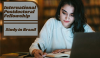 International Postdoctoral Fellowship at Estate University of Campinas, Brazil