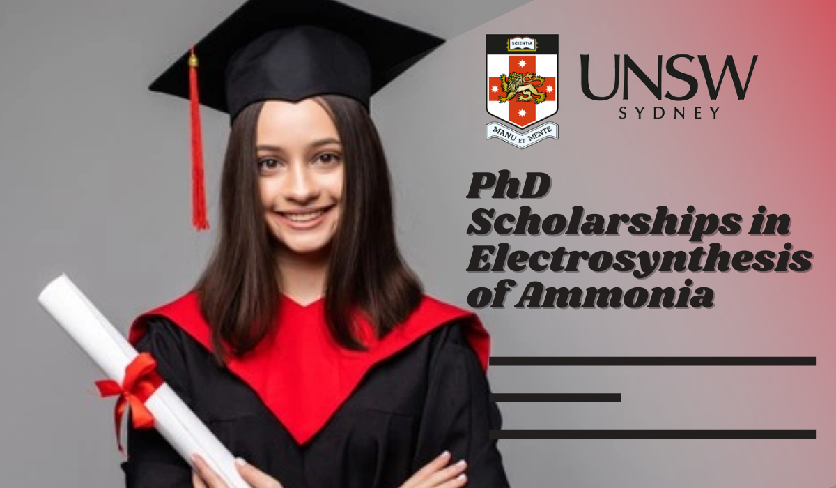 unsw phd scholarship deadline