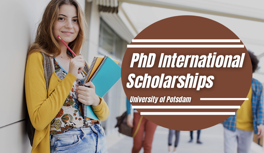 phd scholarships germany international students