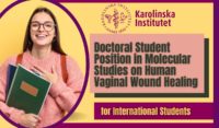 Doctoral Student Position in Molecular Studies on Human Vaginal Wound Healing at Karolinska Institute, Sweden