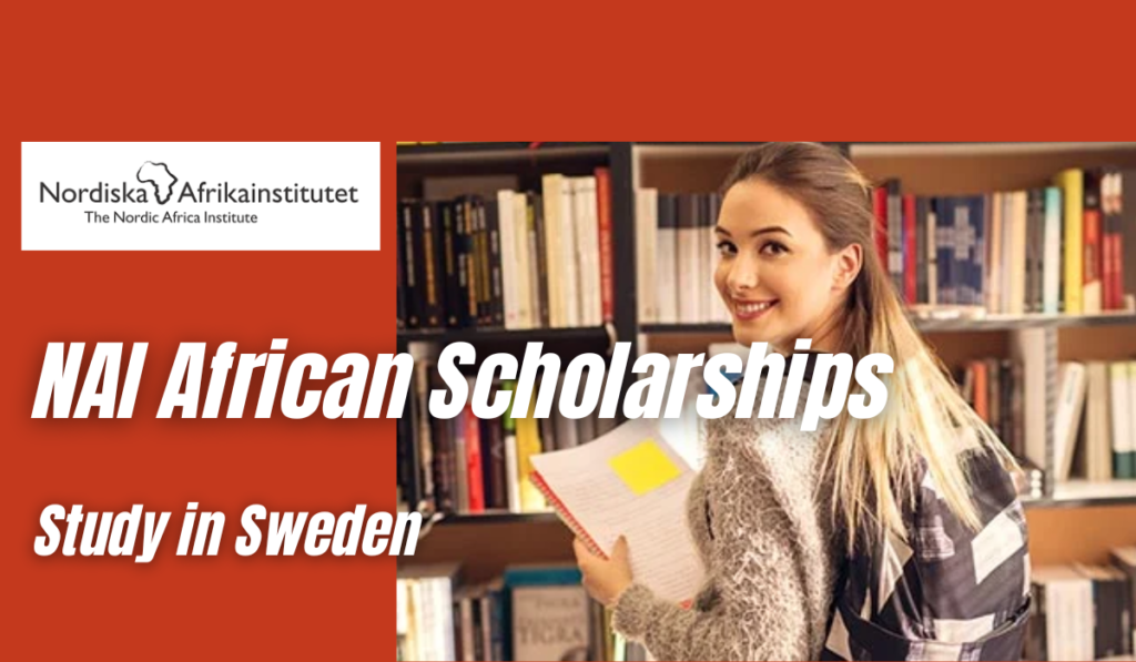 NAI African ScholarNAI African Scholarships in Swedenships in Sweden