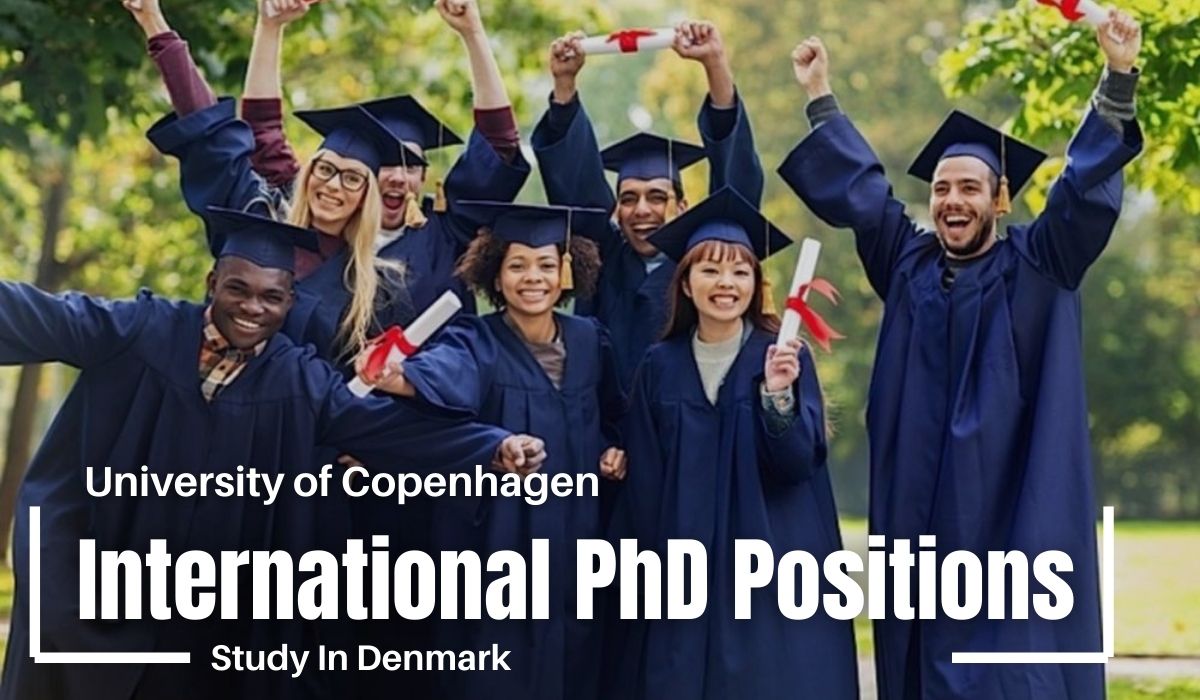 International PhD Positions in Translational Disease Systems Biology