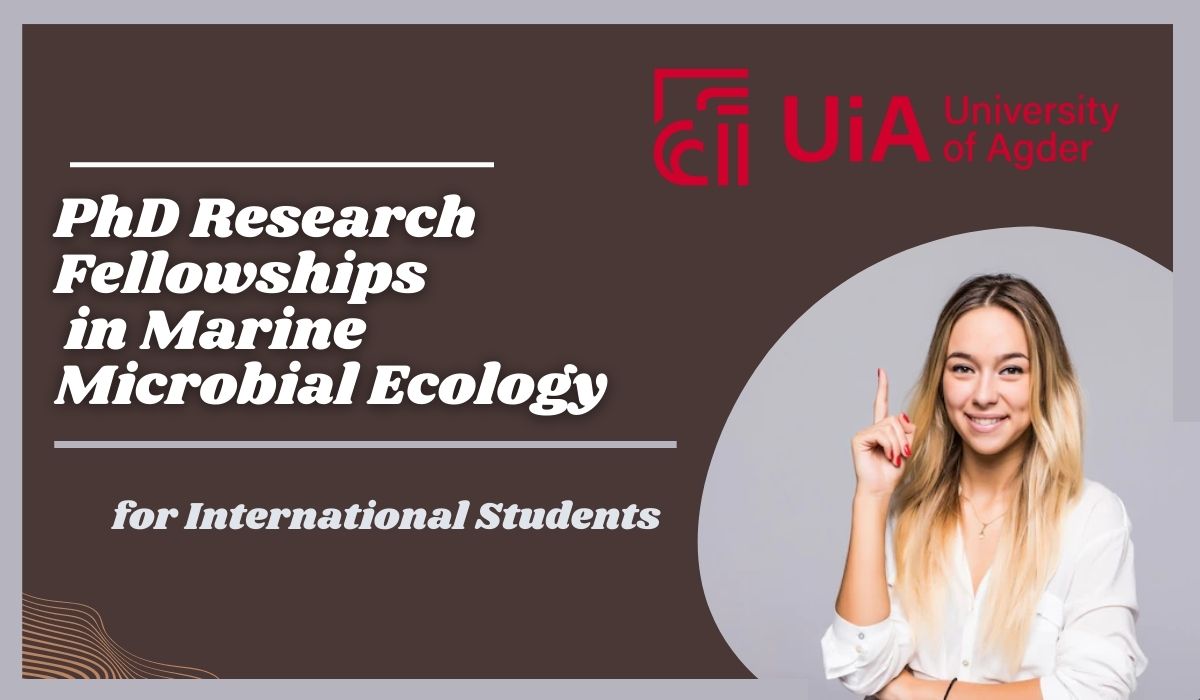 phd scholarships in ecology