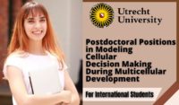 Postdoctoral Positions in Modeling Cellular Decision Making During Multicellular Development, Netherlands