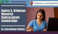 Audrey A. Brinkman Memorial Undergraduate Scholarships for International Students at Indiana University, USA