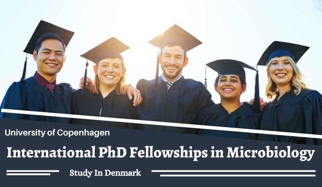 phd scholarships in medical microbiology