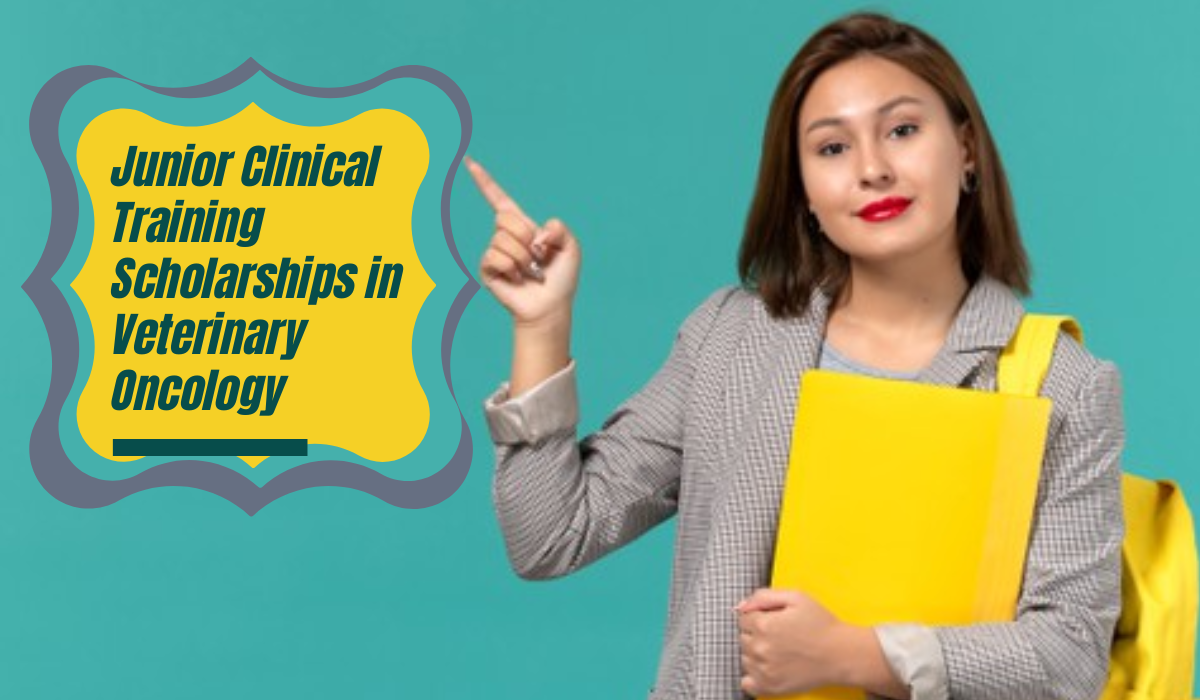 Junior Clinical Training Scholarships in Veterinary Oncology at