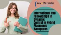International PhD Fellowships in Dynamic Control in Hybrid Plasmonic Nanopores in France