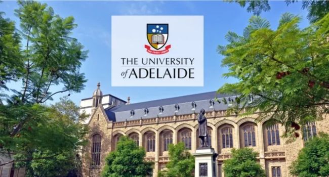 Australian POTS Foundation PhD Top-up Scholarship