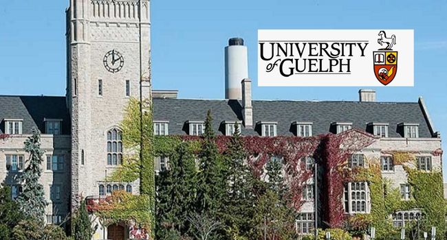 Franco J. Vaccarino President’s International Scholarship at University of Guelph, Canada.