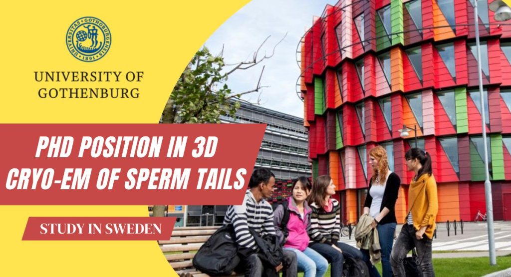 PHD Position in 3D Cryo-EM of Sperm Tails at University of Gothenburg, Sweden