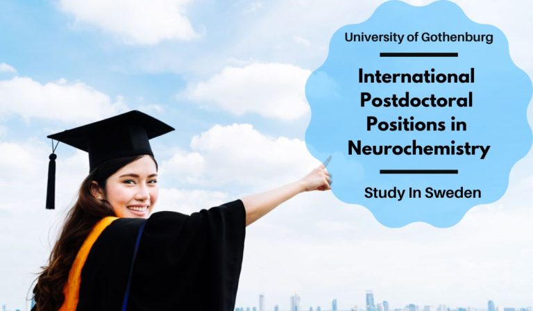 University of Gothenburg International Postdoctoral Positions in ...