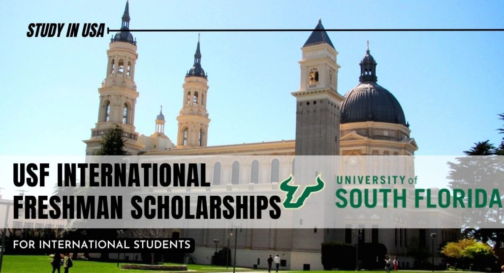 USF International Freshman Scholarships in the USA