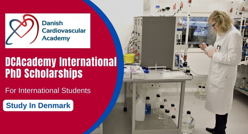 DCAcademy International PhD Scholarships in Denmark