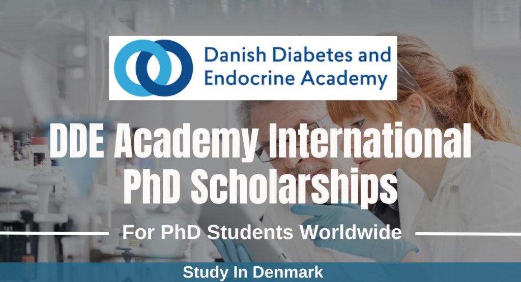 DDE Academy International PhD Scholarships in Denmark.