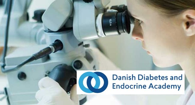 DDE Academy International PhD Scholarships in Denmark.