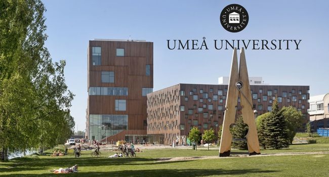 The Department of Chemistry at Umeå University Postdoctoral Scholarship in Sweden