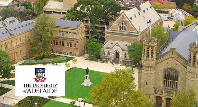 Adelaide Park Lands Association - Multiple PhD Internship Scholarships in Australia