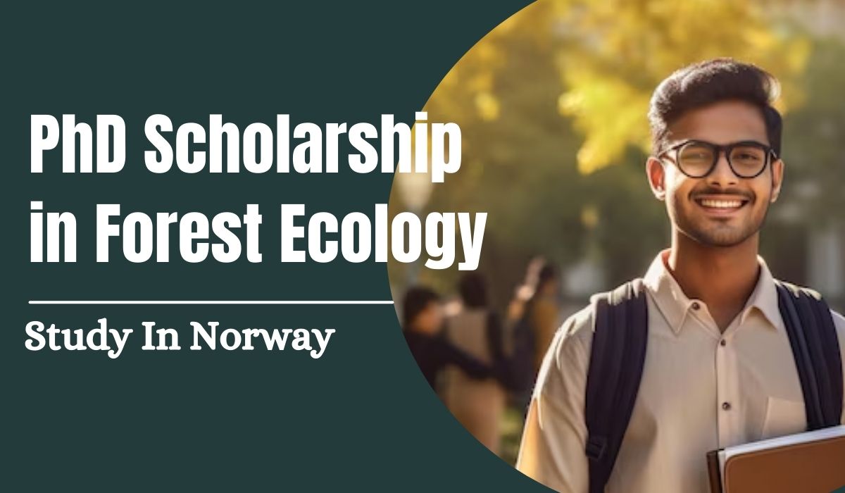 phd scholarships in ecology